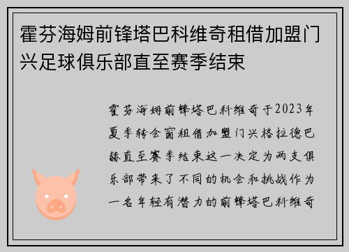 霍芬海姆前锋塔巴科维奇租借加盟门兴足球俱乐部直至赛季结束 霍芬海姆前锋塔巴科维奇租借加盟门兴足球俱乐部直至赛季结束